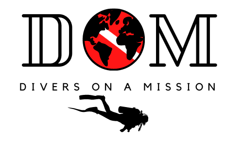 divers on a mission logo