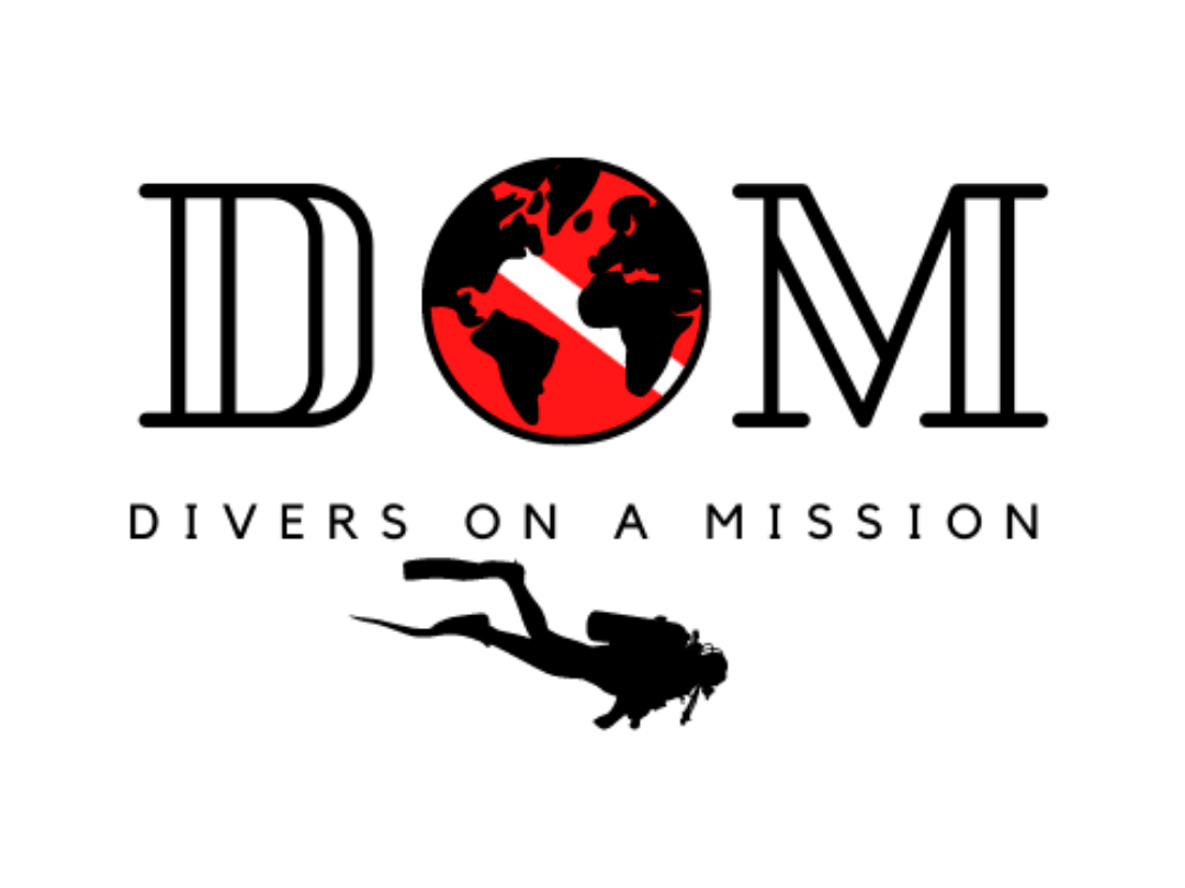 Divers On A Mission