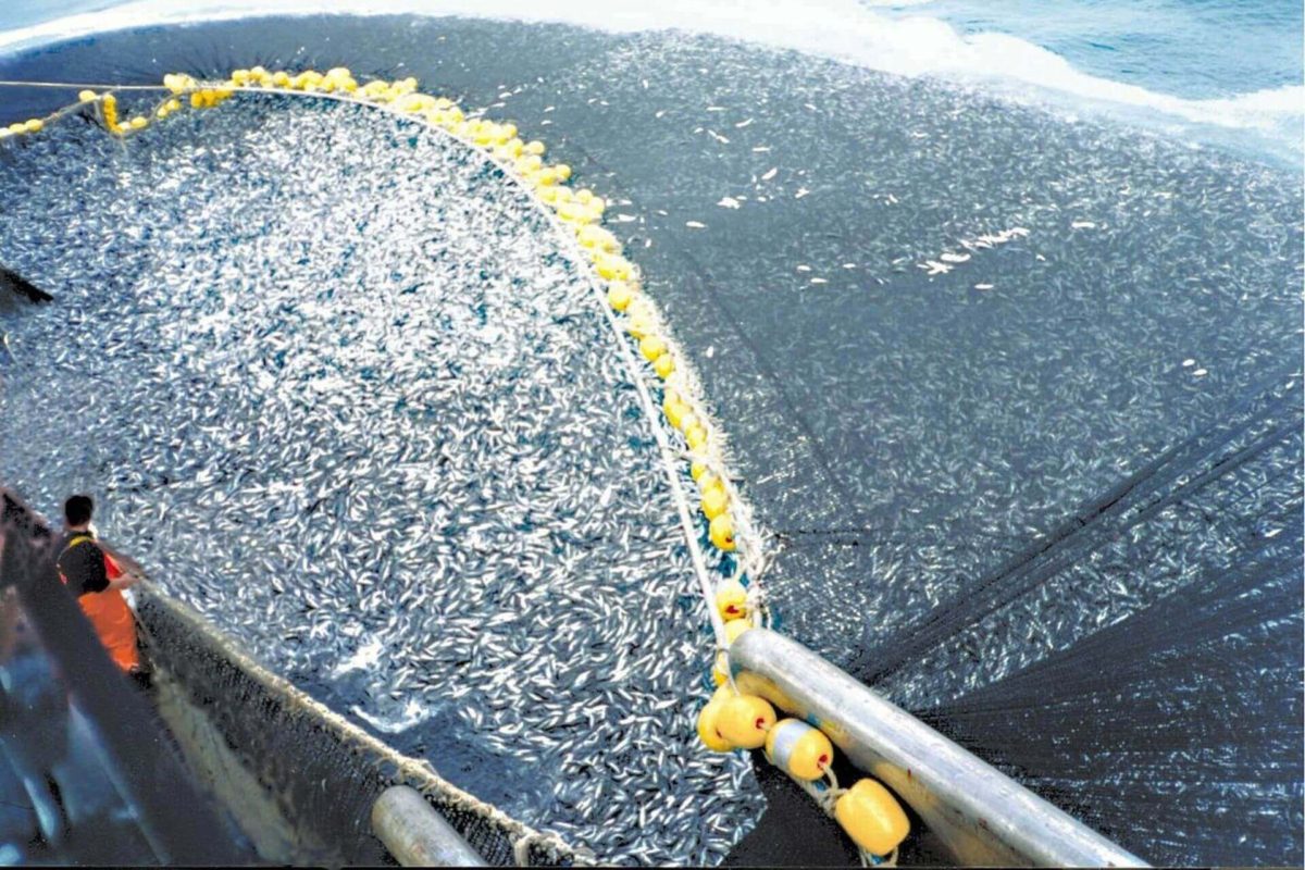 overfishing boat with large net cast out into ocean